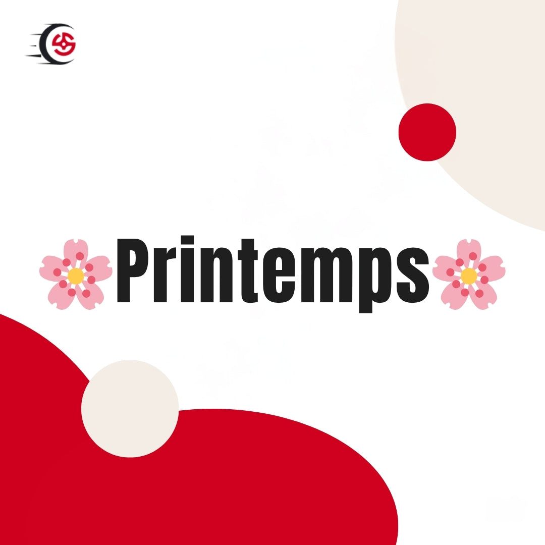 🌸Printemps - Grand Nettoyage